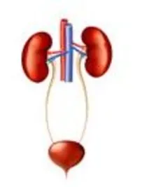 Uro Care Kidney Stone & Prostate Clinic