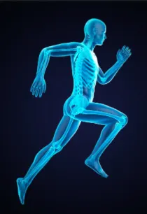 Dr. Maheshwari Orthocare Clinic