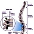 Dr. Braj Mohan   (Physiotherapist) Physiotherapist in Jaipur