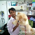 Dr. Sanjeev Kumar Veterinary Physician in Delhi